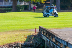 Fall-Classic-at-River-Hills-Nov.-19-2025-Jim-Maggio-Photo-0798-Enhanced-NR
