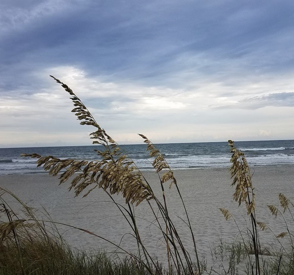 Tilghman Beach & Golf Resort Google Reviewer Photo