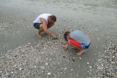 Tilghman Beach & Golf Resort - Checking Out Shells
