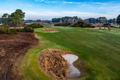 Wizard - Feb. 25, 2025 (Jim Maggio Photo