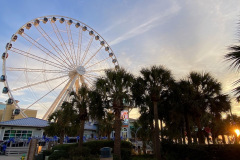 SkyWheel Sunrise (David Williams Photo)
