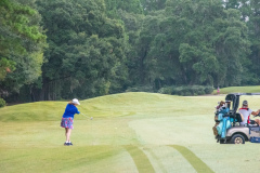 World Am at Shaftesbury Glen - Aug. 26, 2024 (Jim Maggio Photo)