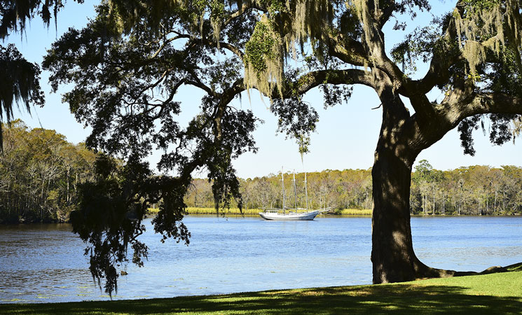 Myrtle Beach Real Estate