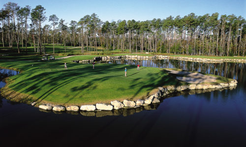 Book Your Tee Time at Tiger’s Eye Today