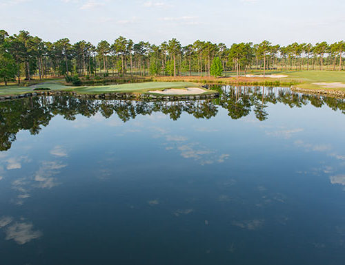 No. 11 at Tiger's Eye Golf Links