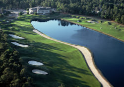 The Elite Package – Choose 2 Courses from 4 Championship Courses!