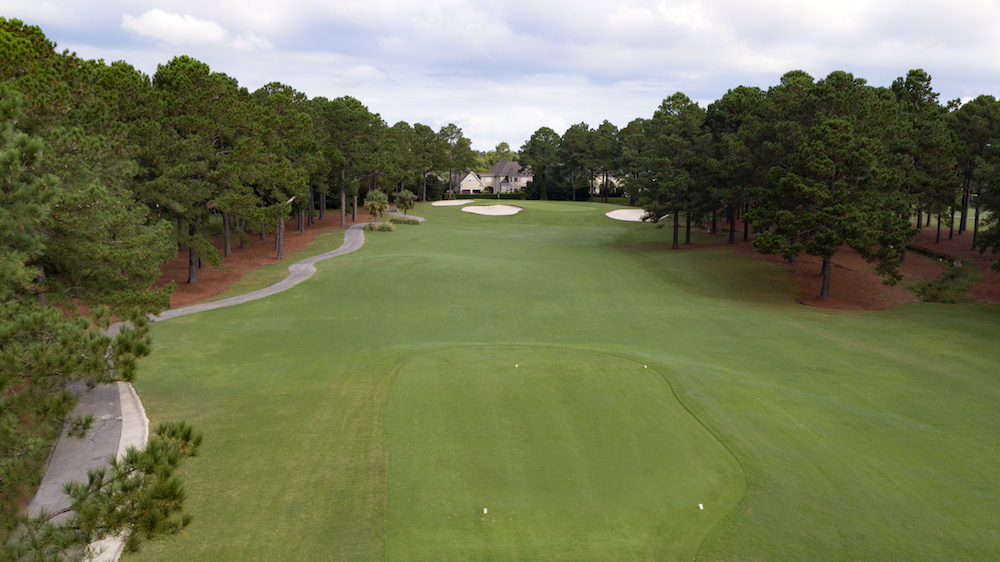 Myrtlewood Palmetto Golf Course in Myrtle Beach, SC Reviews & More