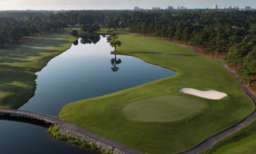 Receive $100 in Rewards with This Rewards Package ~ Palmetto Course at Myrtlewood!