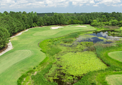 All-Inclusive Package with Range Balls, Lunch, and 2 Beers or Beverages